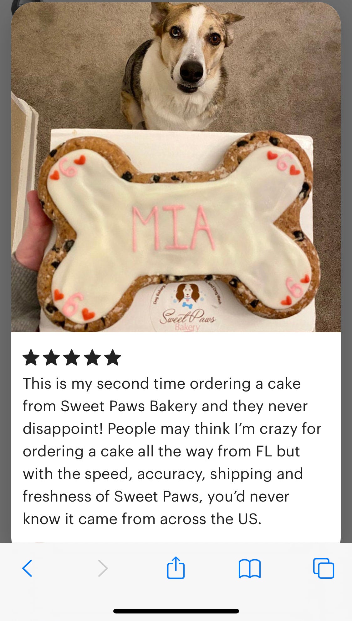 Dog Cake - 9 Inch Bone Cake - Molly's Healthy Pet Food Market